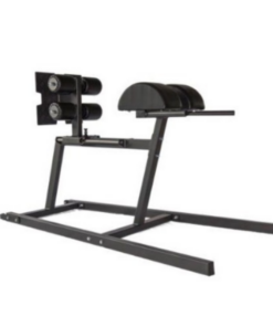 Glute Ham Developer (GHD)