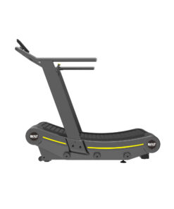 Curved Treadmill