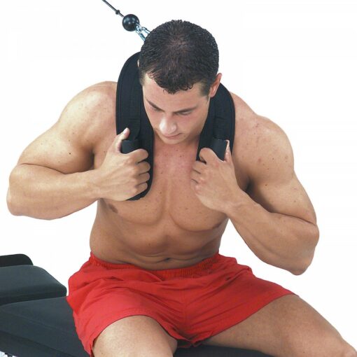 Ab Crunch Harness