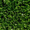 artificial-grass