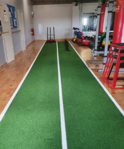 Gym Grass with White Lines