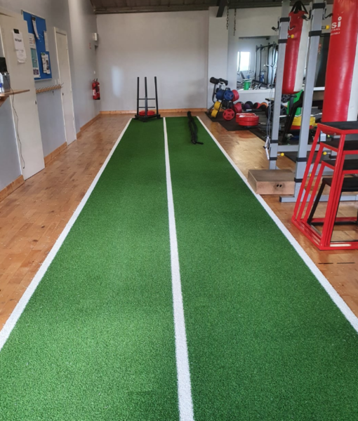 Gym Grass with White Lines