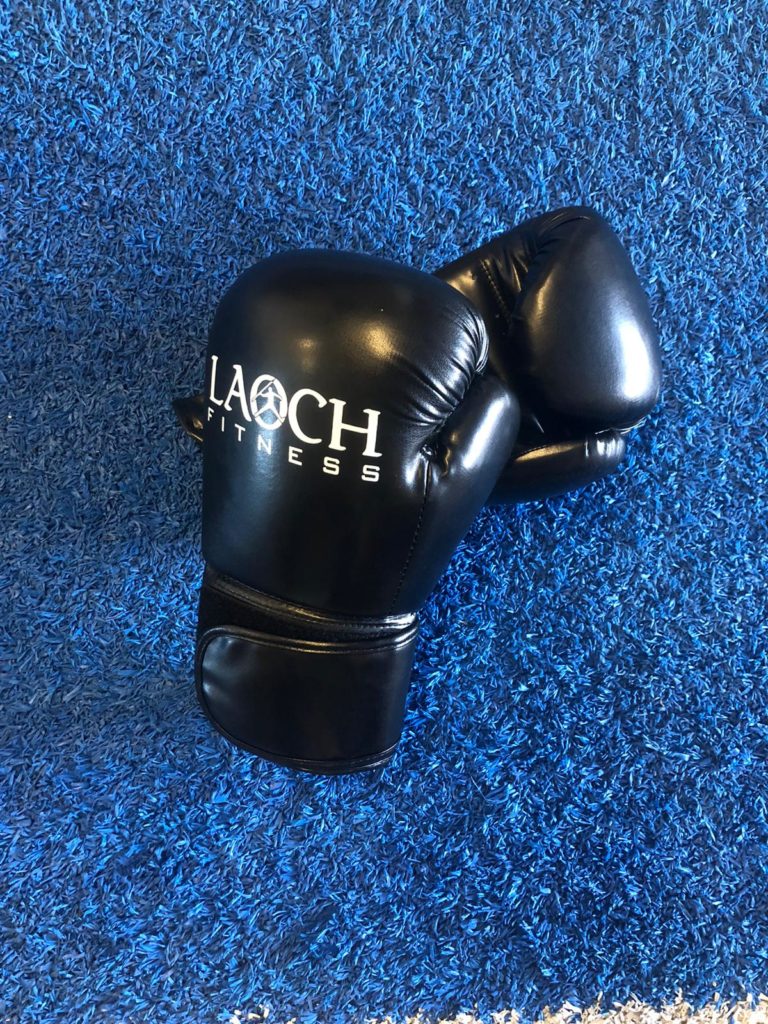 Laoch Fitness 12 Oz Boxing Gloves Fitness Equipment Ireland Best
