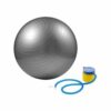 Swiss Balls - 55cm (Grey) Anti Burst