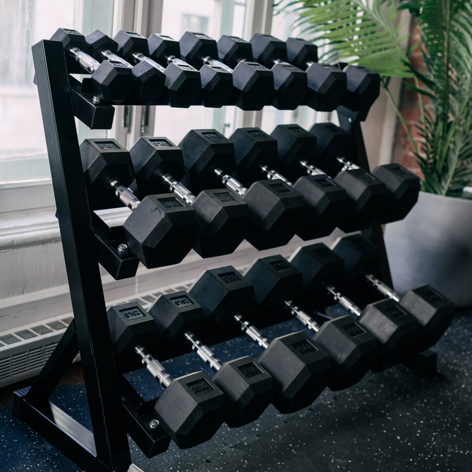 hex dumbbells