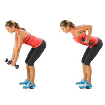 Bent over Row with dumbbells