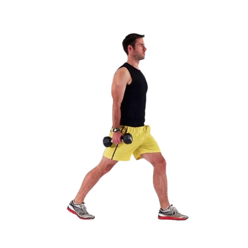Dumbbell Lunges