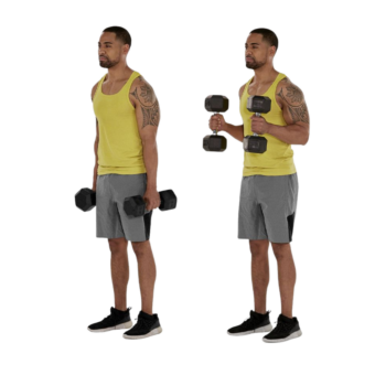 Hammer Curl with Dumbbells