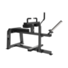 Seated Calf Raise